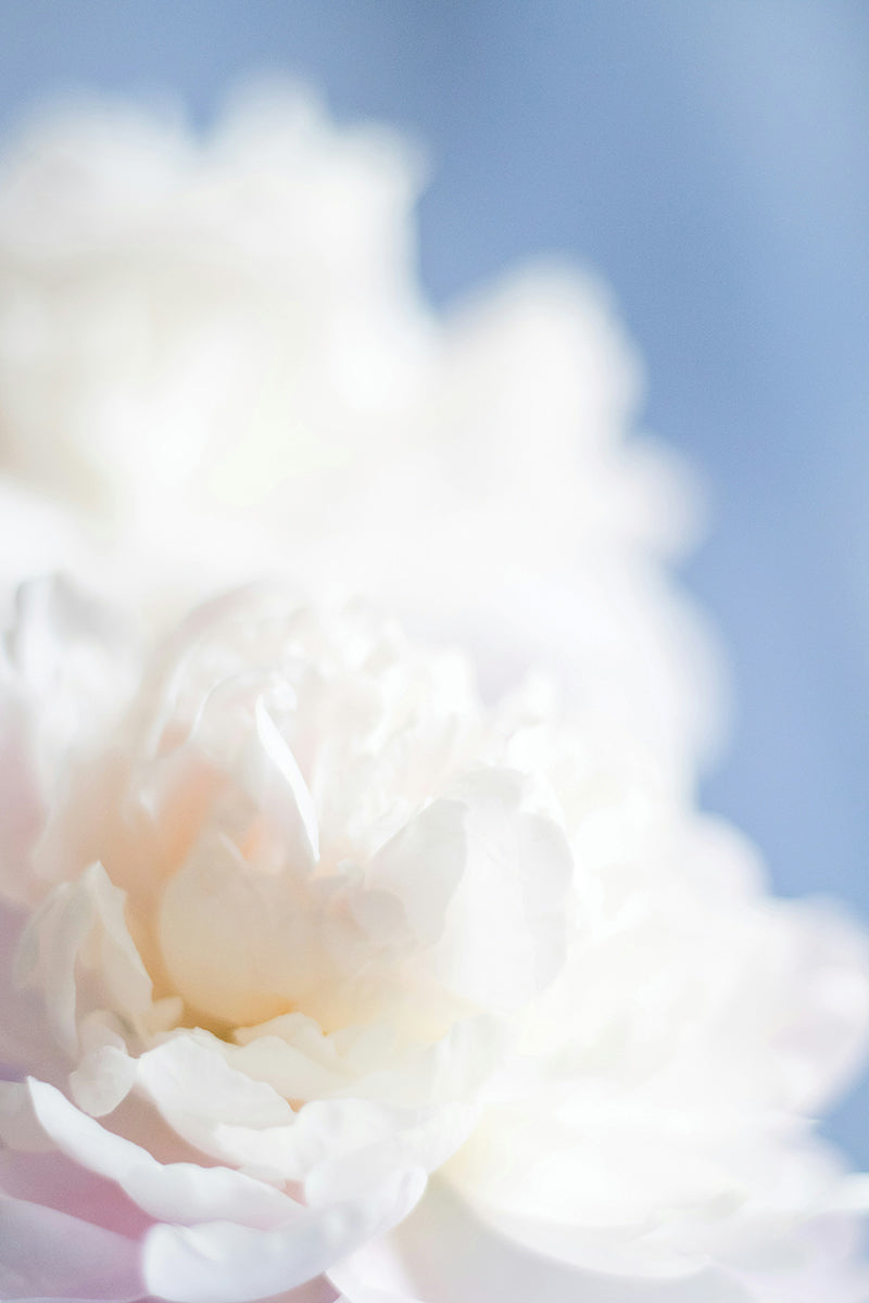 Wedding Day Hacks