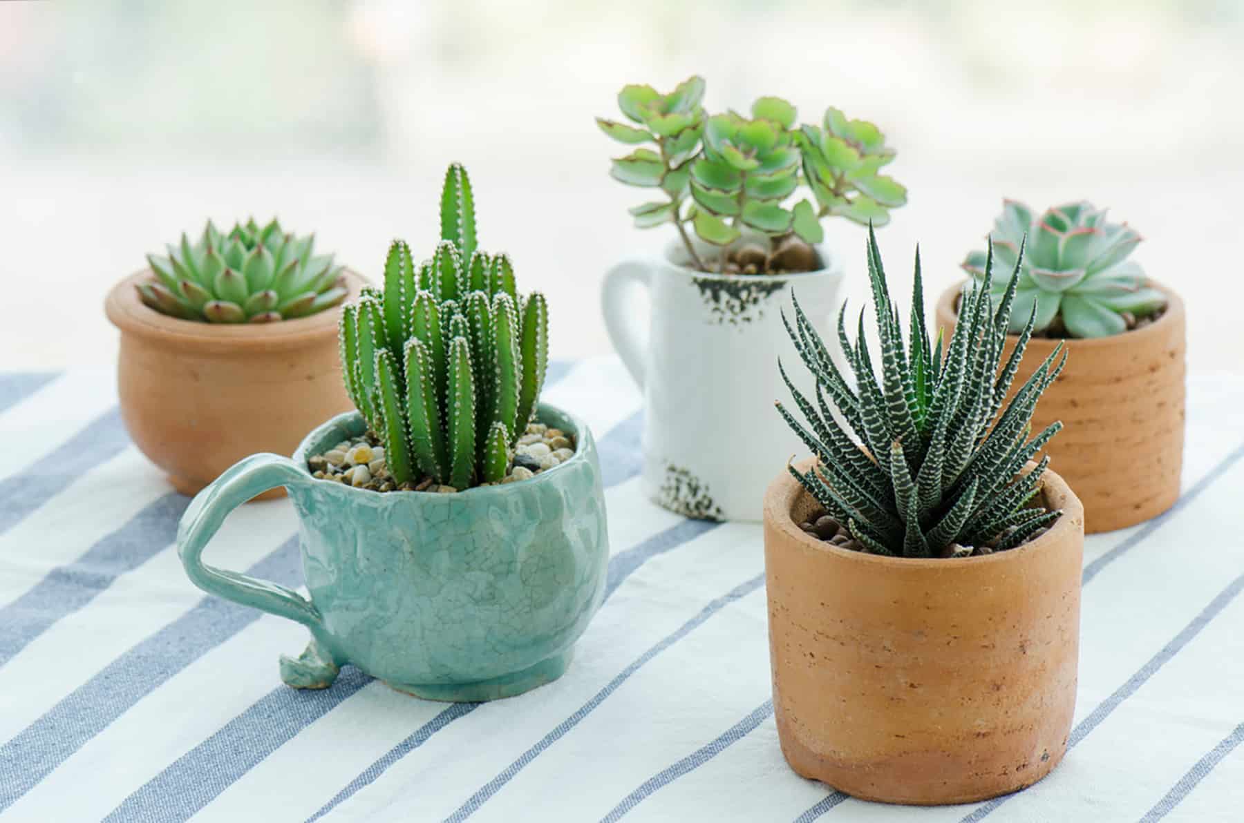 Fab Wedding Gift Ideas You’ll Love